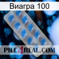 Виагра 100 22